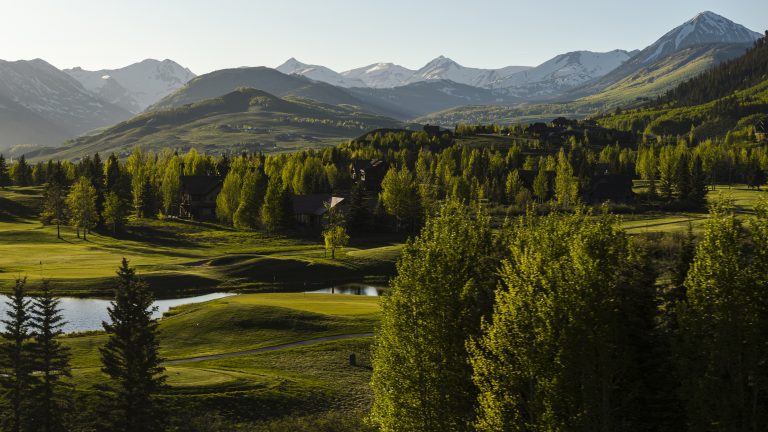 New FISC Study Challenges the Biotic Resistance Hypothesis in Forest Insect Invasions