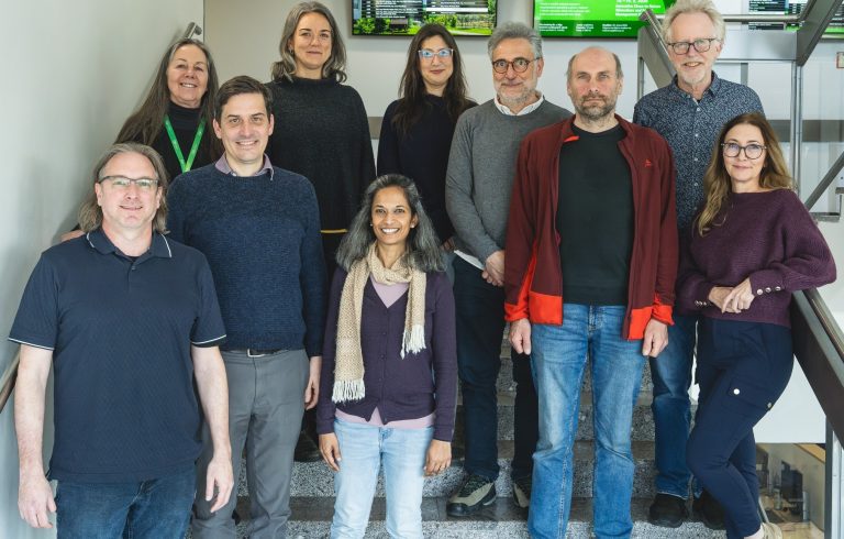 Transient impacts of invasive species