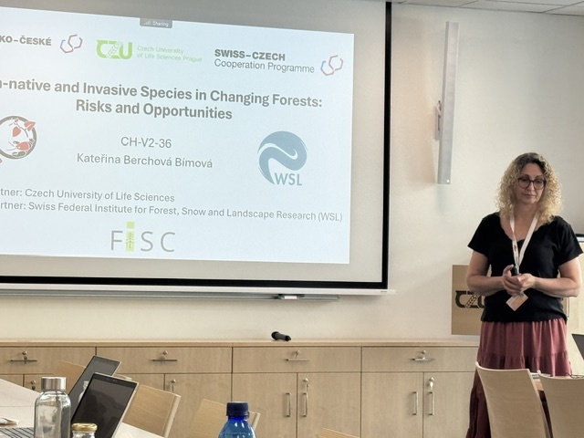 New Czech–Swiss collaboration to address non-native and invasive species in changing forests