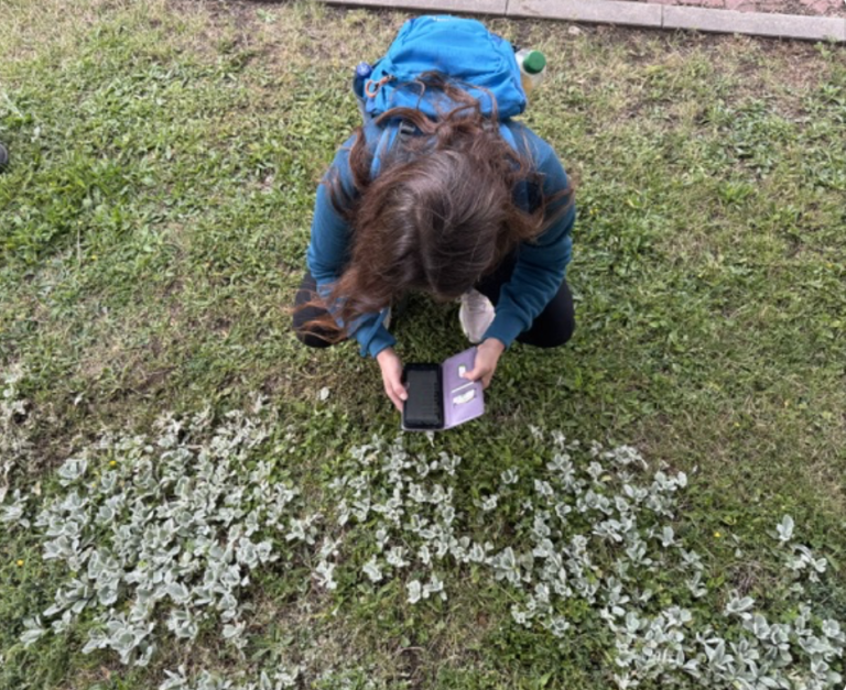 Photo gallery: Rain Did Not Stop Us. FISC Joined BioBlitz 2026