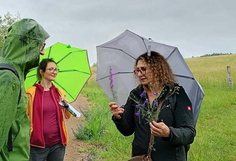 Photo gallery: Rain Did Not Stop Us. FISC Joined BioBlitz 2026